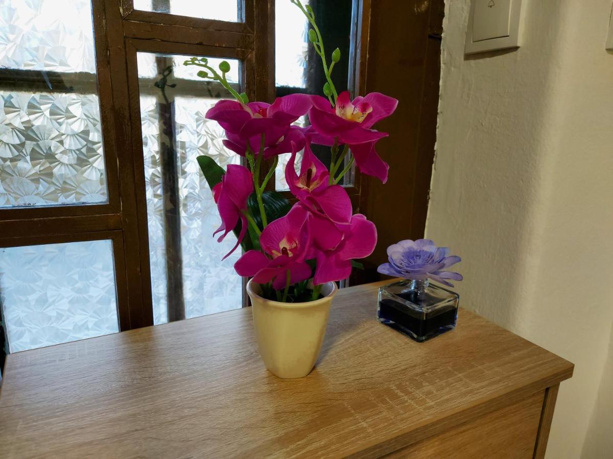 Lovely, Neat And Quite Apartment Dalia, Private Parking SJJ Exteriör bild